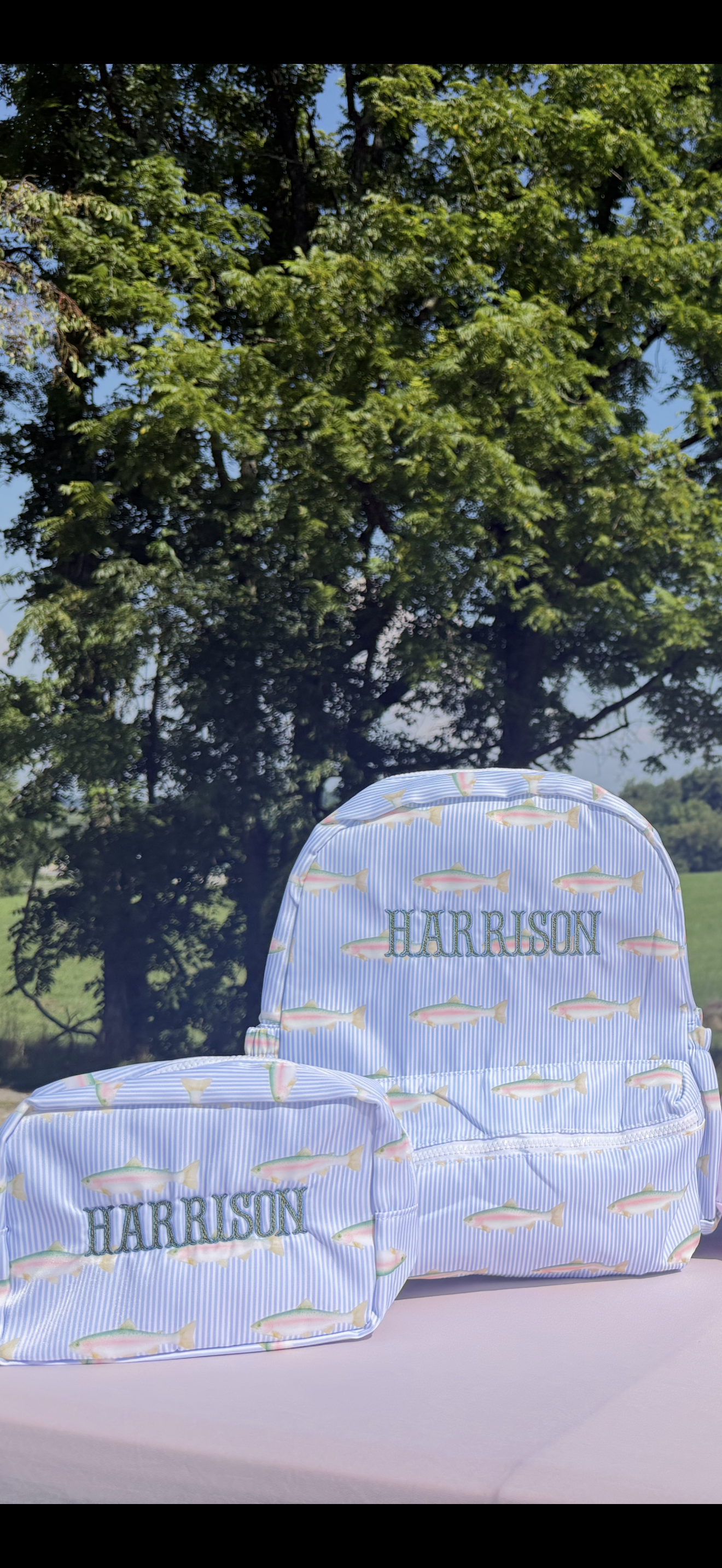 Nylon Full Size Backpack