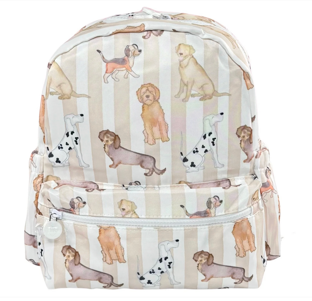 Nylon Full Size Backpack